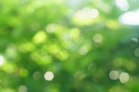 蓝绿色自然阳光线布基h抽象背景多彩VintagePastel图片