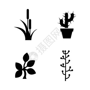 植物为视频移动应用程序网站打印项目和您的设计置的简单相关矢量图标叶图片