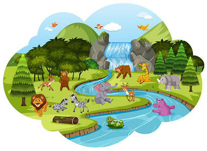摩特诺玛瀑布森林场景插图中的动物插画