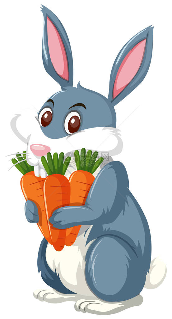 可爱的兔子拿着胡萝卜插画图片
