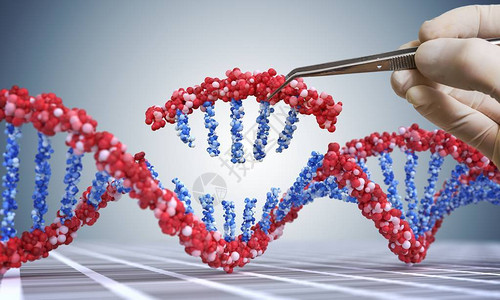 基因工程转基因生物和基因操纵概念图片