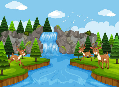鹿在瀑布和树林场景插图图片