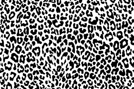 豹形无缝图案白色和黑色动物印刷图片
