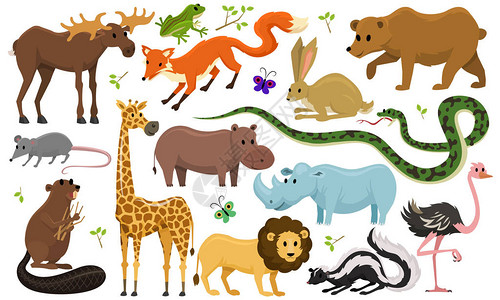 野生长颈鹿驼和犀牛野兔狼和熊与狮子和老虎一起图片
