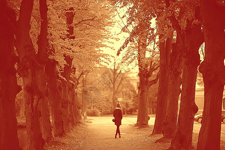 棕褐色秋季公园景观城市公园树木和小巷的单色图像黑白海报图片