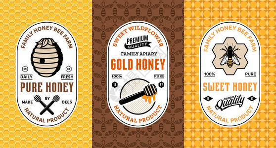 蜂蜜包装设计盒用于蜂房和养蜂产品牌和身份的蜂蜜徽标和包装设计模板矢量蜂插画