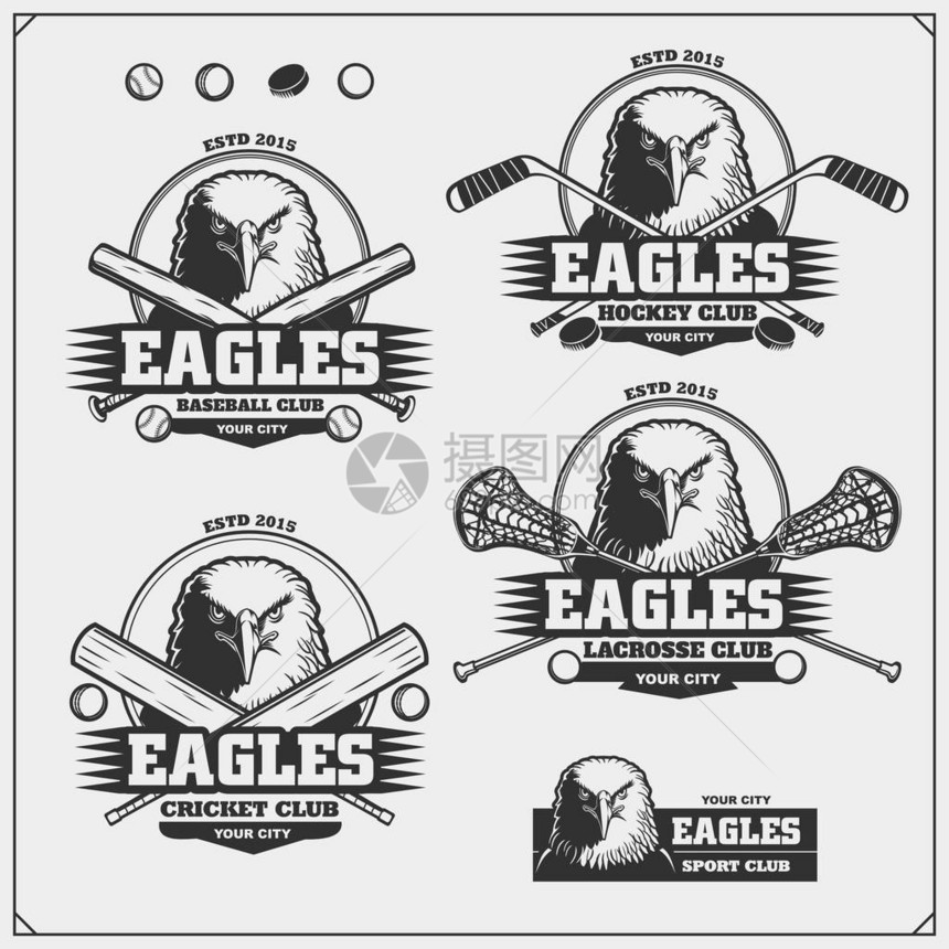 板球棒球曲棍球和曲棍球标志和标签与老鹰的体图片