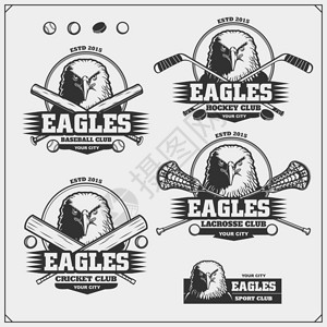 板球棒球曲棍球和曲棍球标志和标签与老鹰的体图片