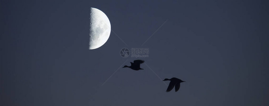 在天空背景的抽象月亮图片