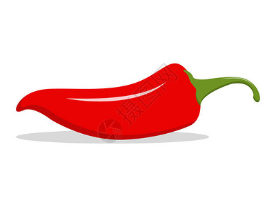 红热的天然辣椒插图杂货烹饪产品调味料和香料包装食谱网站装饰烹饪书的设图片