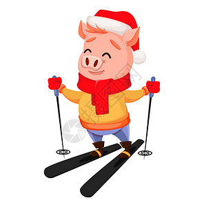 圣诞快乐穿着圣诞老人帽子和围巾的可爱猪滑雪的喜悦有趣的卡通人图片