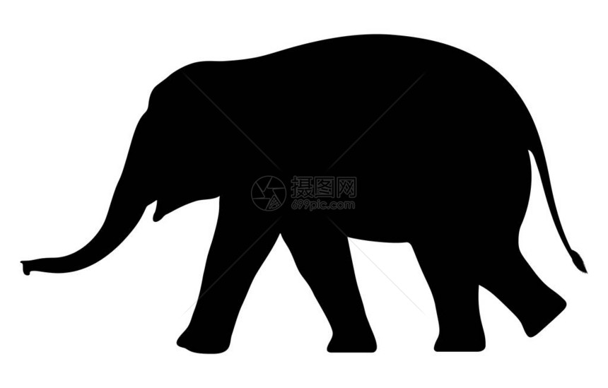 白色背景上的剪影大象矢量插图图片