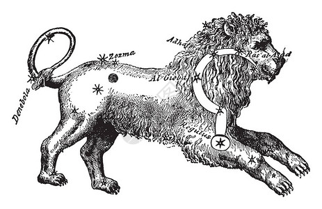图片显示这是一个被称为狮子座或狮子座的星座图片