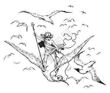 一个男孩骑着一只手持杖的海鸥鸟和飞鸟老式线条图片