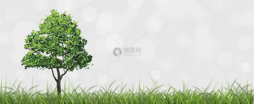 绿地树上有bokeh背景的图片