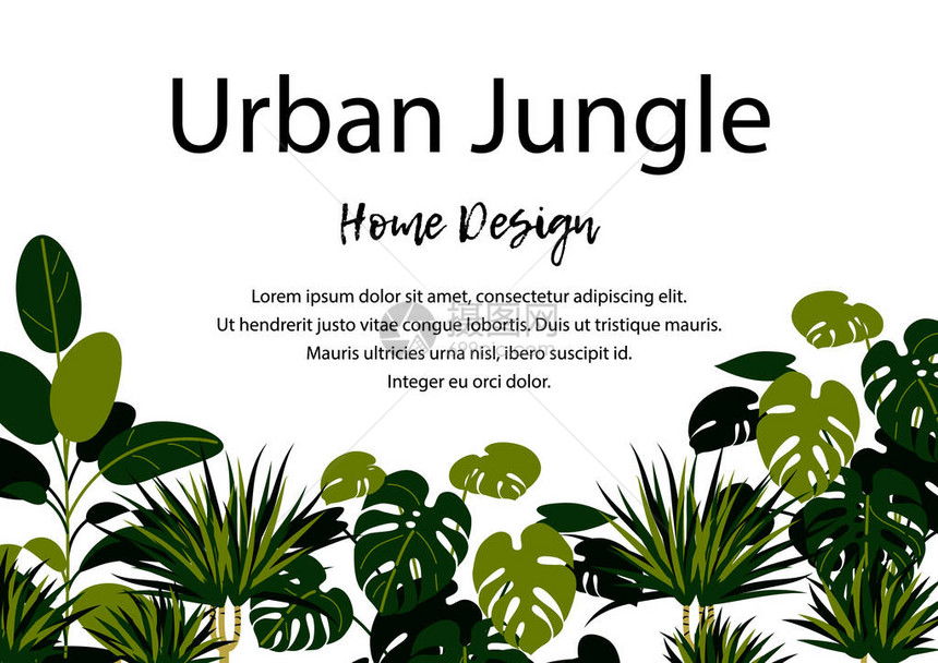 城市丛林水平横幅家居植物设计图片