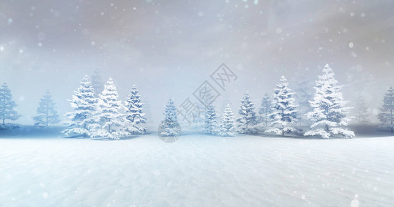 白天有雪滴的神奇平静冬季森林图片