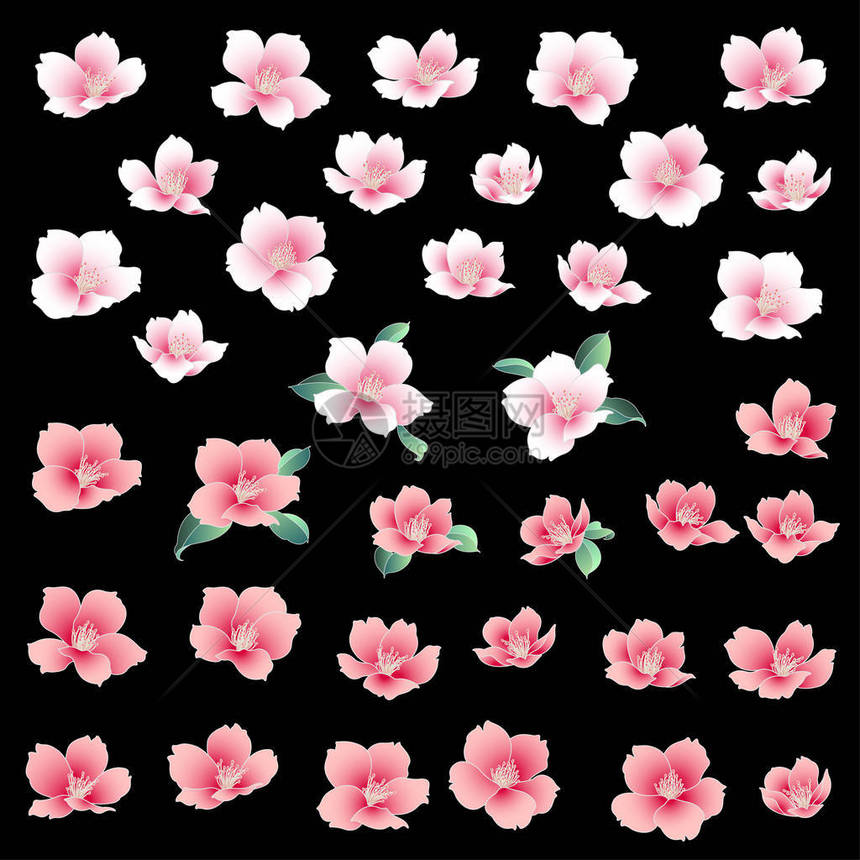 日式樱花插画日式樱花设计图片