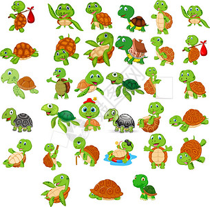鳖卡通乌龟收藏集的矢量图解插画