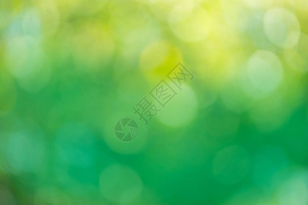 新鲜绿色生物抽象的模糊背景图片