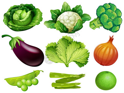 蔬菜白色背景图集图片
