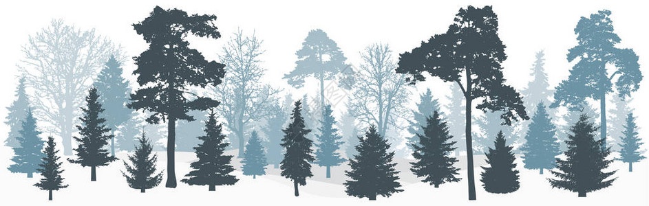冬季雪林树木背景图片