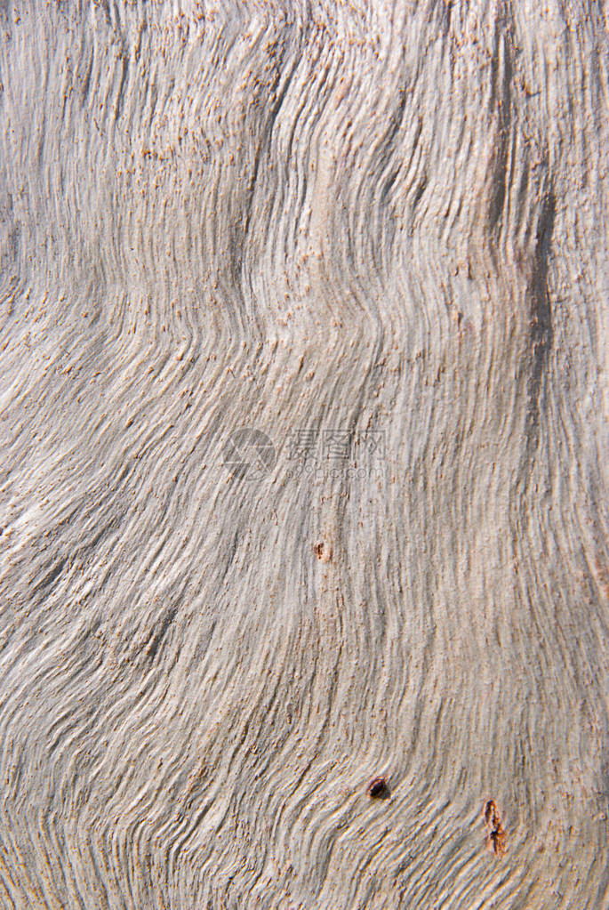 桉树皮纹理抽象的木制背景图片