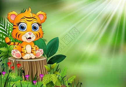 婴儿老虎装饰板坐在树桩上背景图片