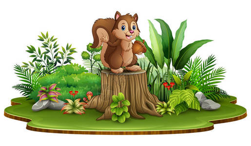卡通快乐的松鼠拿着松果站在树桩上图片