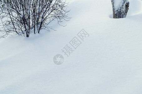 冬季抽象的模糊背景冬季花园背景图片