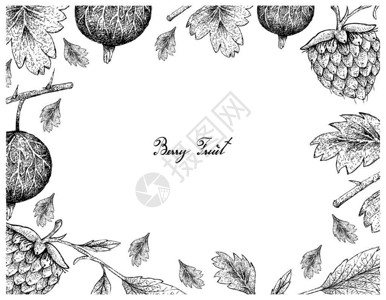 悬钩子贝里果手绘草莓和白底金浆的插图框架插画