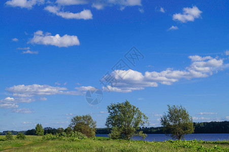 小波兰省蓝色的天空和美丽的云朵与草地树夏季海报的插画