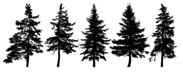 森林树木剪影孤立的向量集圣诞树背景图片