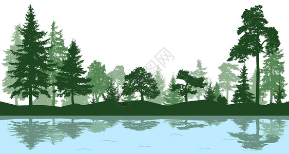 森林公园小巷孤立树木的景观水中树木的反背景图片