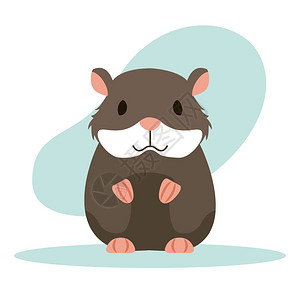 仓鼠类动漫画动物病媒说明设计背景图片