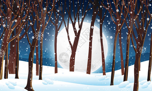 冬季森林夜景图图片