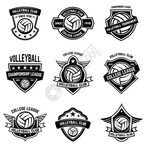 白色背景上的排球标志标志标签徽章标志徽章的设计图片