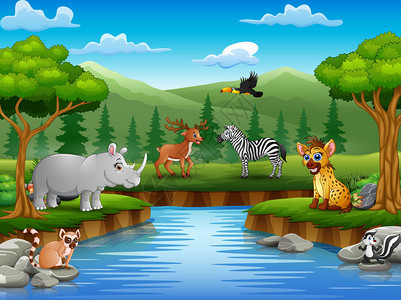 动物漫画在河边享受图片