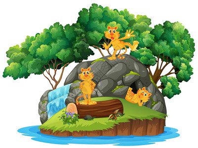 老虎在岛上洞穴插图背景图片
