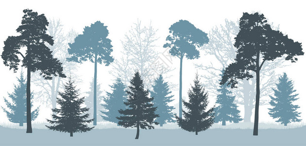 冬季的雪林树木山脊树苗橡树等的轮图片