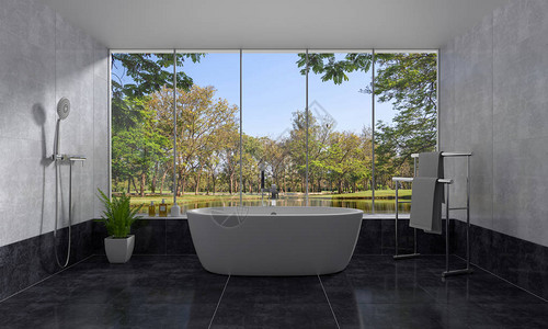 森皮奥内公园浴室内浴缸内有自然观和设计图片