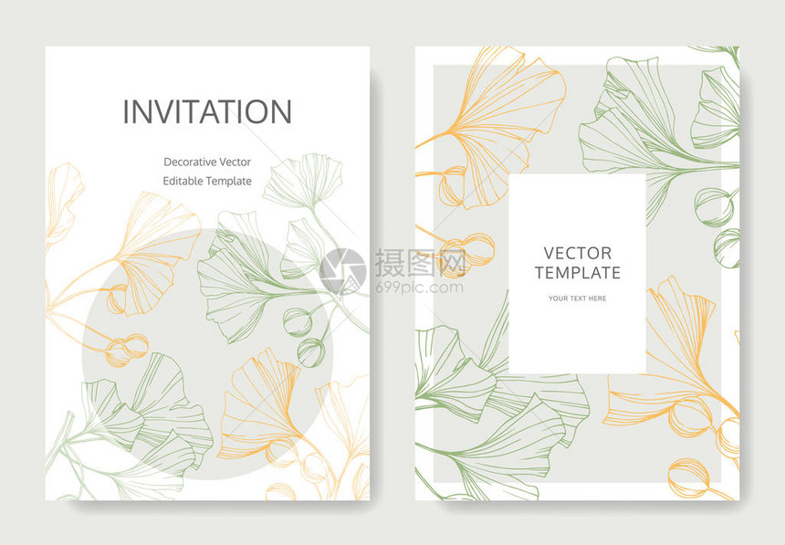 矢量Ginkgo绿叶植物园花卉墨粉艺术婚礼背景卡片装饰边框请用优雅的纸牌图片