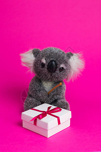 玩具卡通koala坐在一个图片
