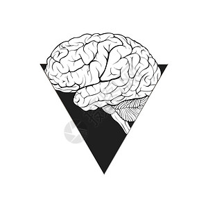 人脑以三角窗抽象形式作为愿望信心智慧的象征在白色背景背景图片