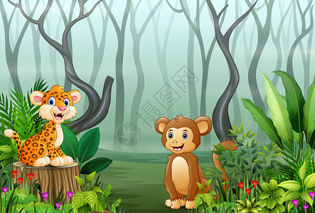 雾中森林植物与豹子和猴子的看法图片