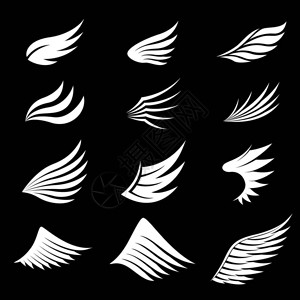 黑色背景上的一组白色翅膀图片