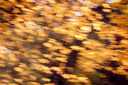 运动中的秋叶抽象背景图片