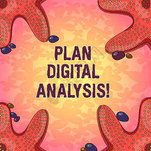 文字书写文本计划数字分析用于海报广告卡的四角彩色鹅卵石海星照片分析定和定量数字背景图片