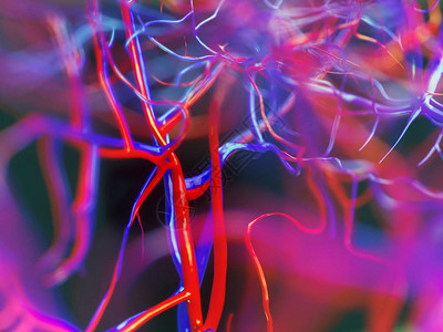 人的血管特写3D渲染图片
