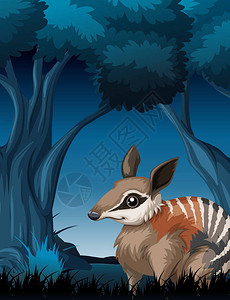 黑暗森林插图中的袋狸图片